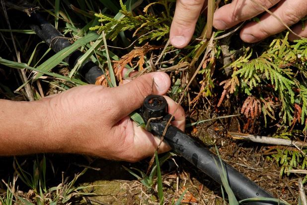 hand adjusting garden hose