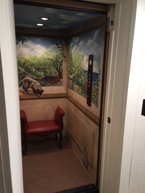 residential-elevator-with-beautifully-painted-cab-walls-in-northwest-Indiana.jpg