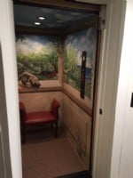residential-elevator-with-beautifully-painted-cab-walls-in-northwest-Indiana.jpg