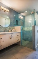 accessible-shower-with-glass-door-and-in-wall-shower-niches.jpg