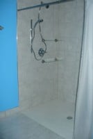 Roll-in shower-with-hand-held-shower-hose-in-Chicago-home