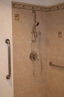 accessible shower with hand held shower hose and grab bars