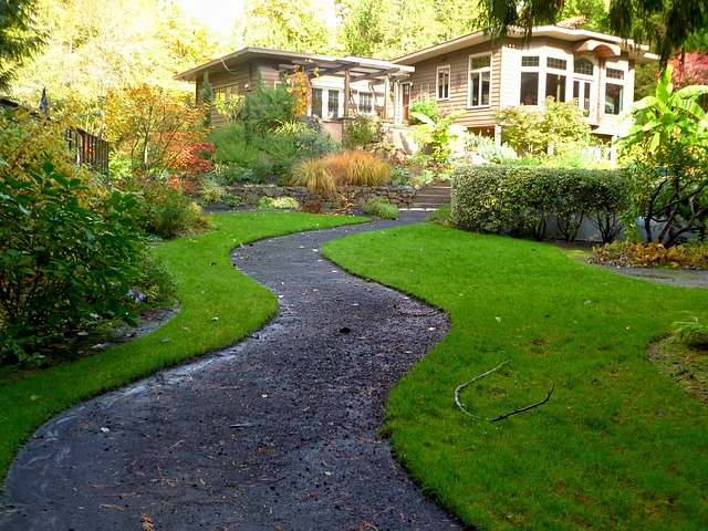 concrete pathway connecting back door to backyard area